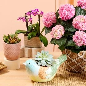 Header navigation sub menu