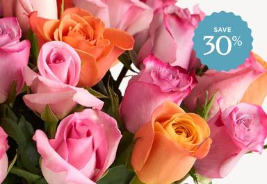 Header navigation sub menu